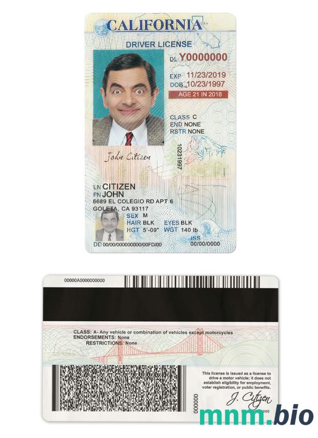 Prawo jazdy Usa California under 21 w formacie PSD